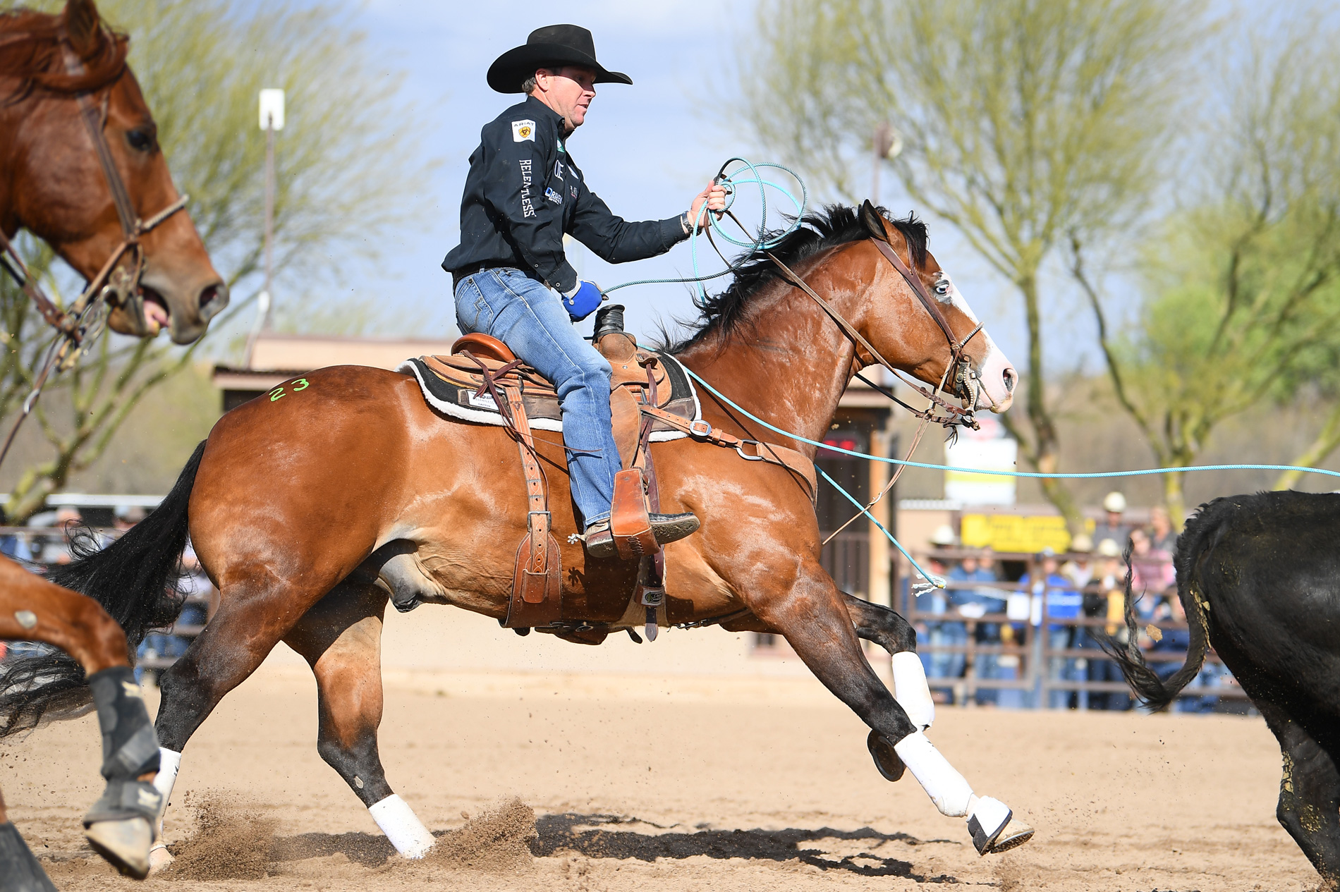 Bongo Man in the sale ring at the 2022 Horse Sale at Rancho Rio