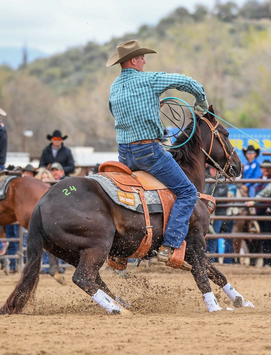 Hooks Flintrock in the sale ring at the 2024 Horse Sale at Rancho Rio