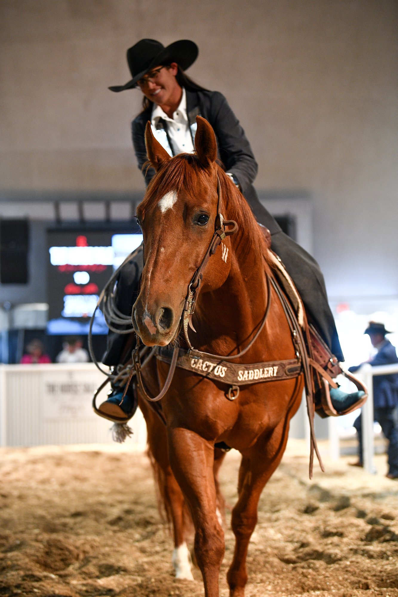 PR Curtis Katz at the 2026 Horse Sale at Rancho Rio