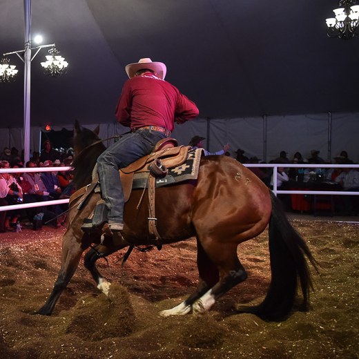 Im Brad To The Bone in the sale ring at the 2018 Horse Sale at Rancho Rio