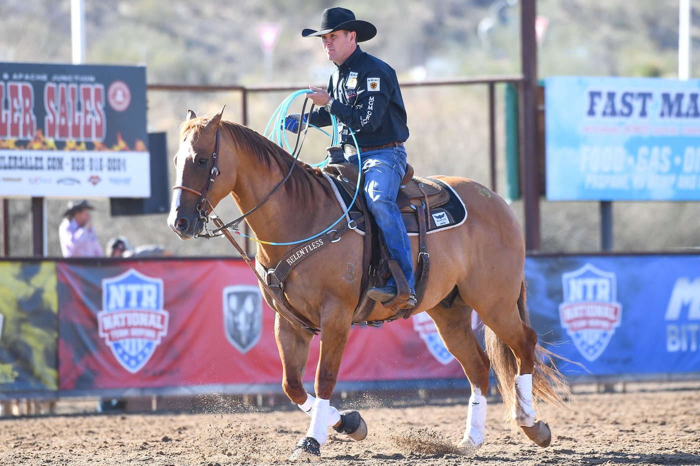 Smartys Dunny in the sale ring at the 2021 Horse Sale at Rancho Rio