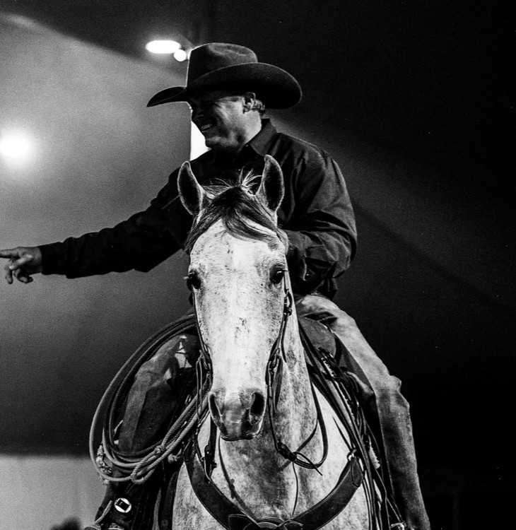 A horse and rider backlit in the arena spotlight at The Horse Sale at Rancho Rio