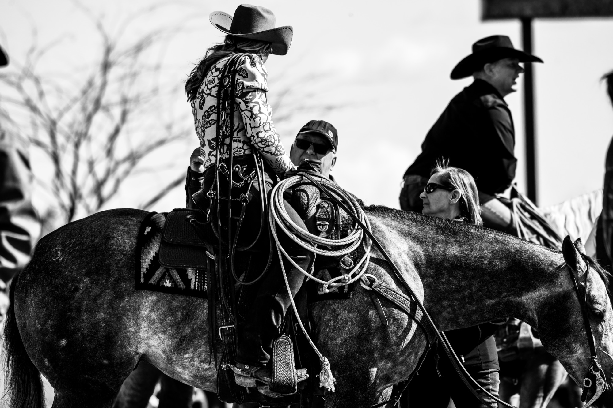 Saddle and tack detail in the sale ring at Rancho Rio